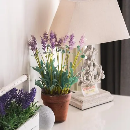 Romantic Dreams Rome