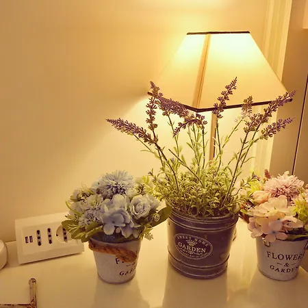 Romantic Dreams 罗马