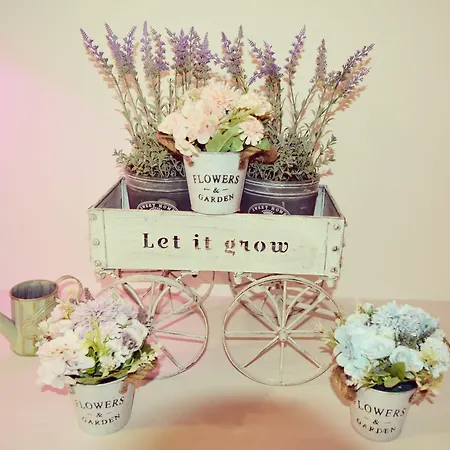 Romantic Dreams Guest house Rome